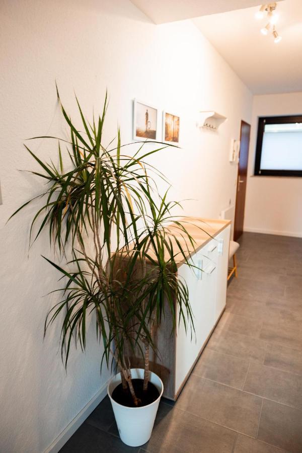 Ferienwohnung Am See - Sport Und Erholung - Wlan ヴィンターベルク エクステリア 写真